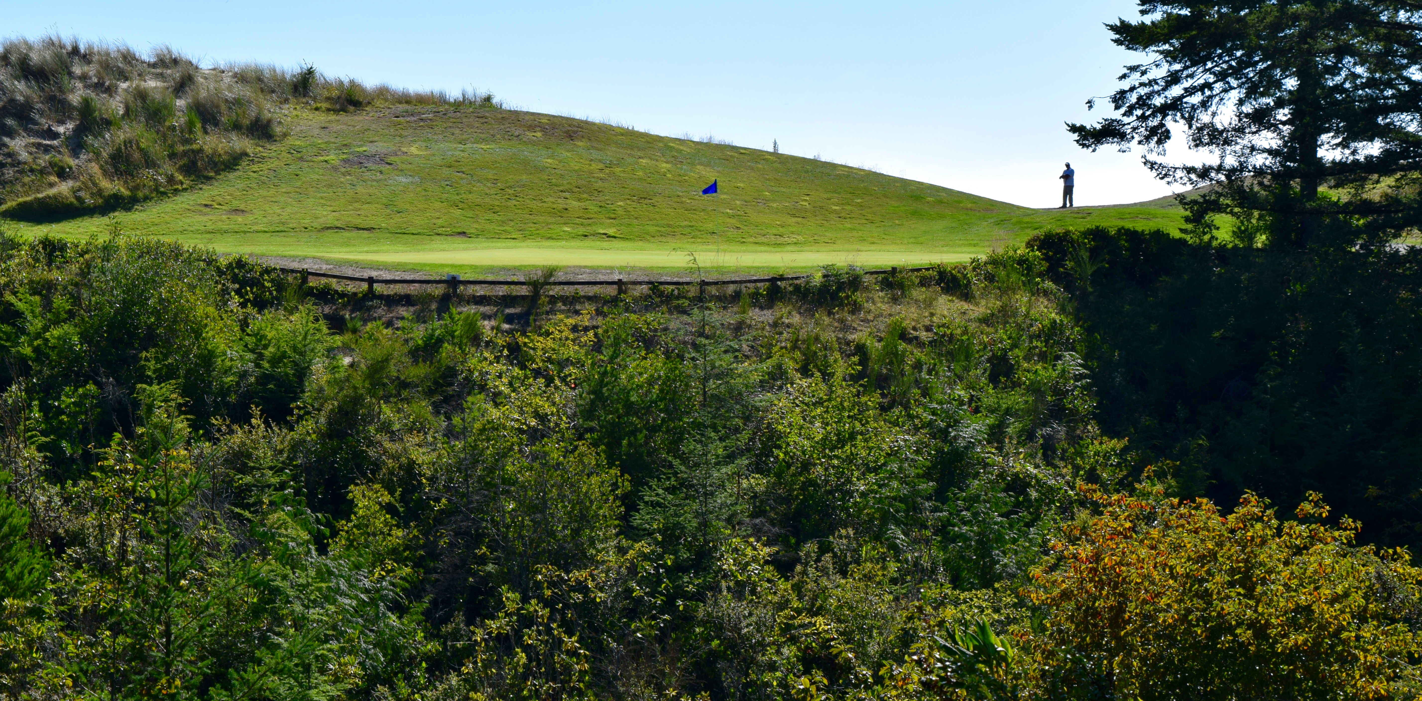 Ocean Dunes: Steady progress for Florence golf course