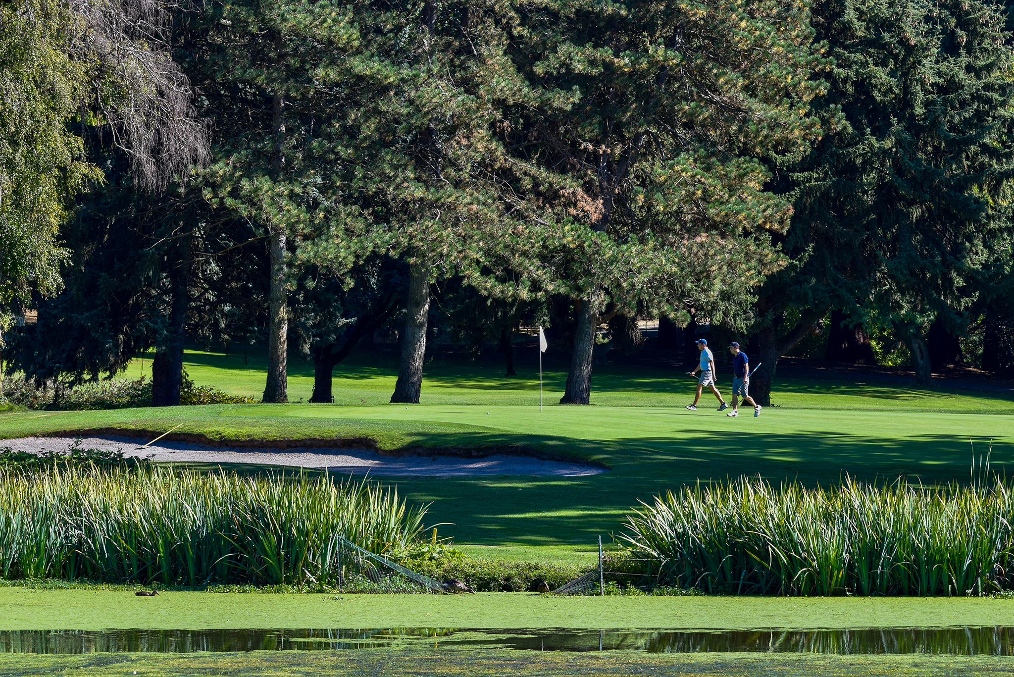 Eastmoreland GC: Still vibrant after a century