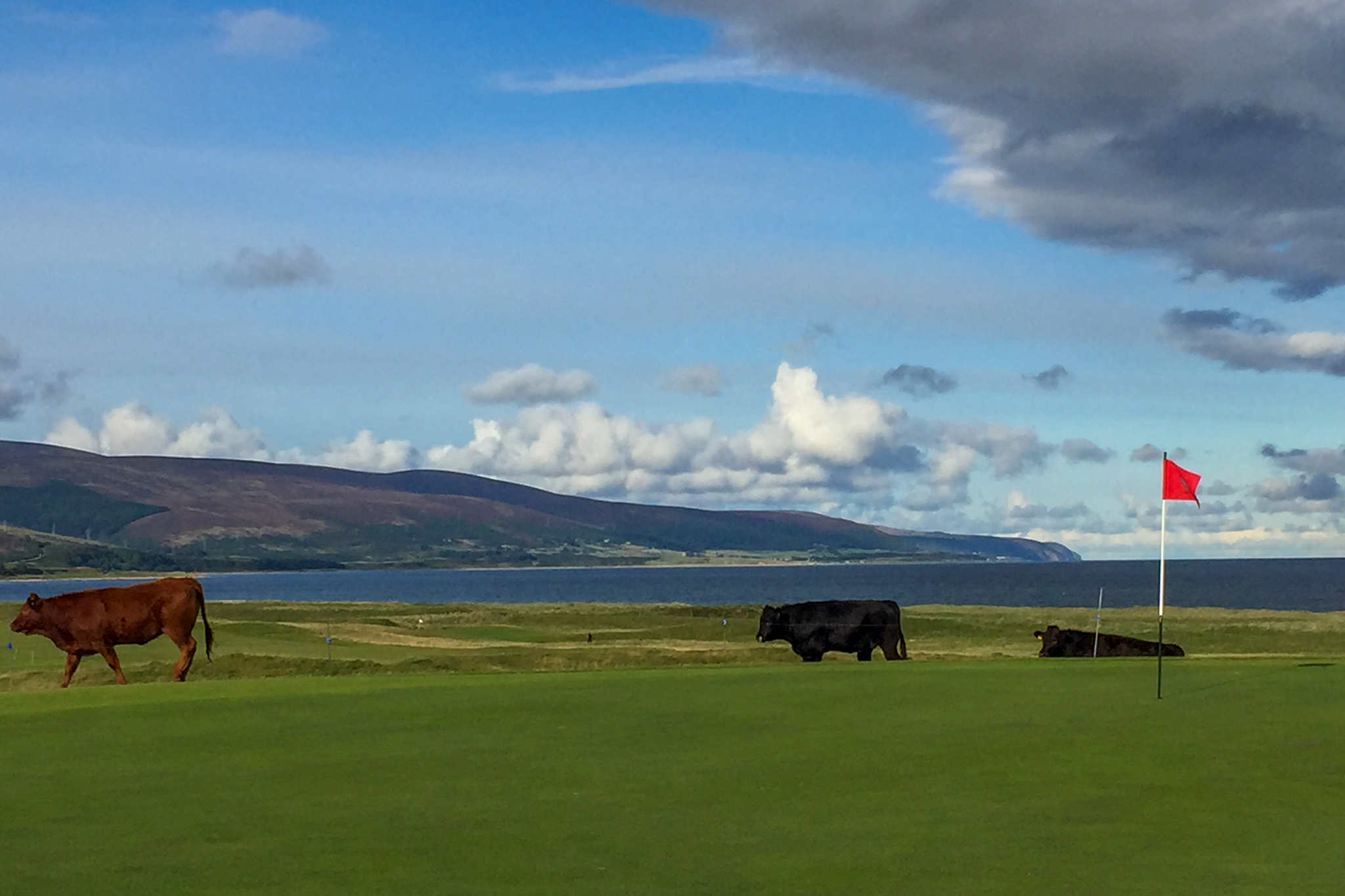 A bonus round at Brora?